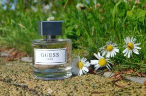 Guess