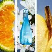 Davidoff Cool Water Sreet Fighter Woman